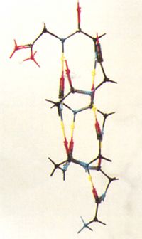 Kit #9, Protein alpha helix